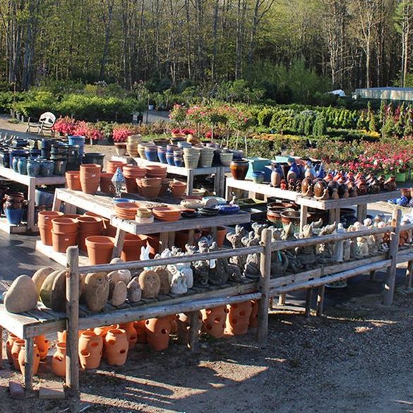 Pottery at Coastal Landscaping and Garden Center